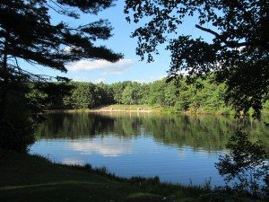 houses-for-sale-in-Leominster