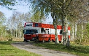 twickenham removals whiteandcompany.co.uk truck in trees image