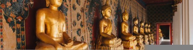 Removals to Thailand