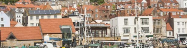 Removals Hull