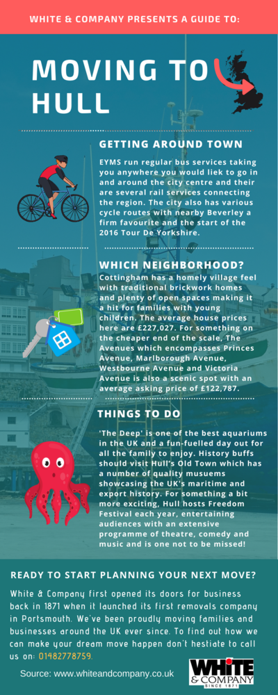 Removals Hull Infographic