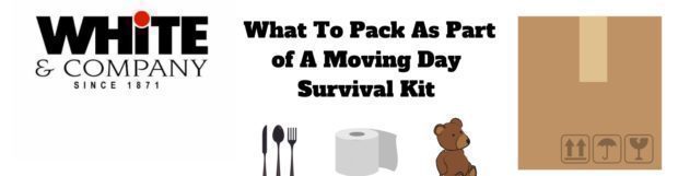 What To Pack As Part of A Moving Day Survival Kit