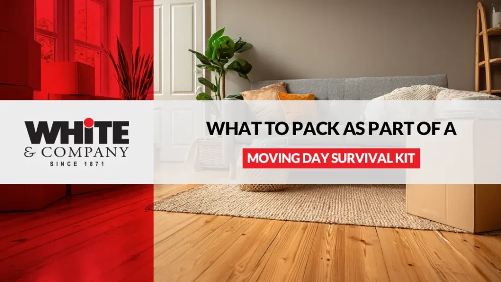 What To Pack As Part of A Moving Day Survival Kit