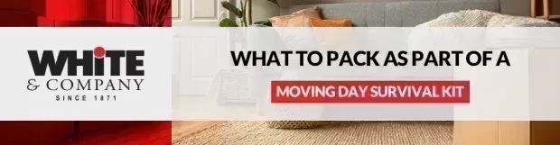 What To Pack As Part of A Moving Day Survival Kit