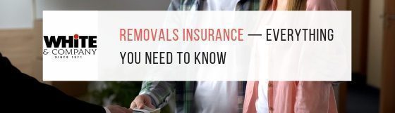 Removals Insurance – Everything You Need To Know