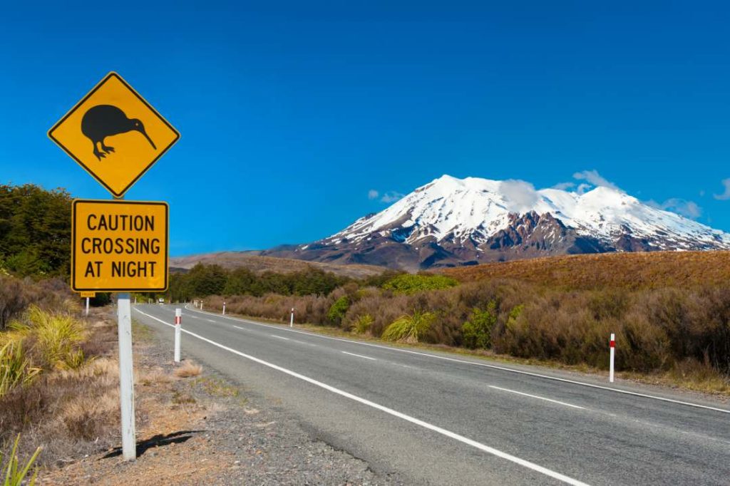 Kiwi and mount Ruapehu North Island,when looking for Removals to New Zealand