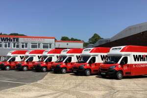 A line up of low floor Luton bodied vans in the livery of White & Company removals