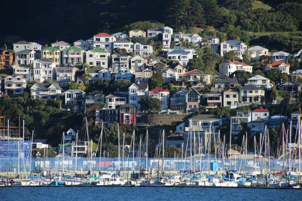 wellington nz scenic view