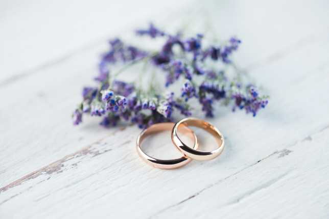 Wedding Rings and Lavender