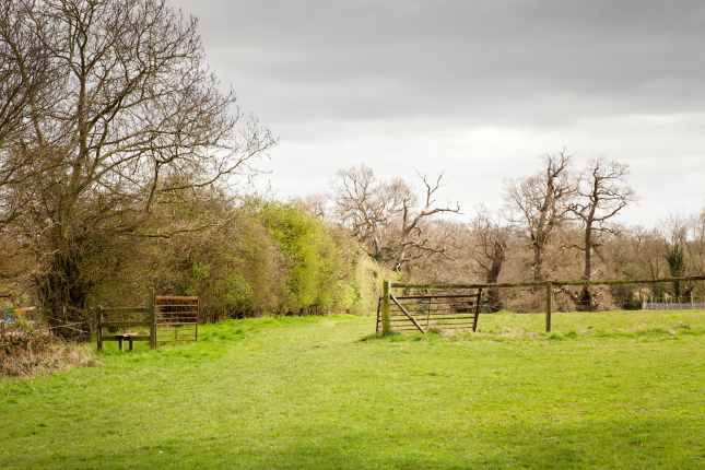 countryside landscape in essex