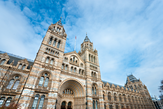 The Natural History Museum