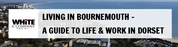 Living in Bournemouth – A Guide to Life & Work in Dorset