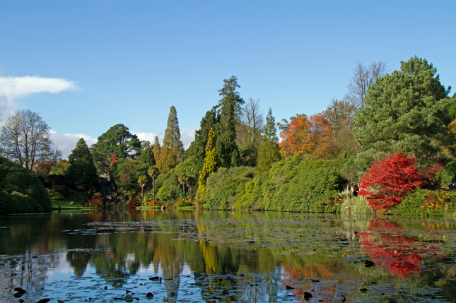 sheffield park