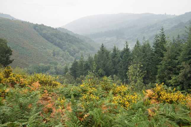 Dartmoor National Park