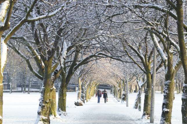 Edinburgh Snow