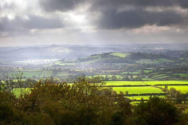 Somerset Levels 