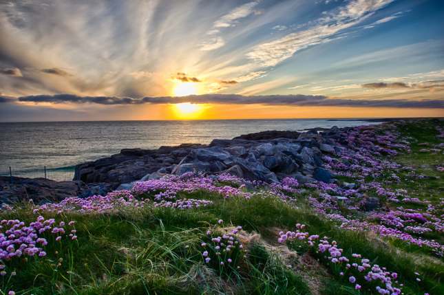 Tangasdale, Scotland