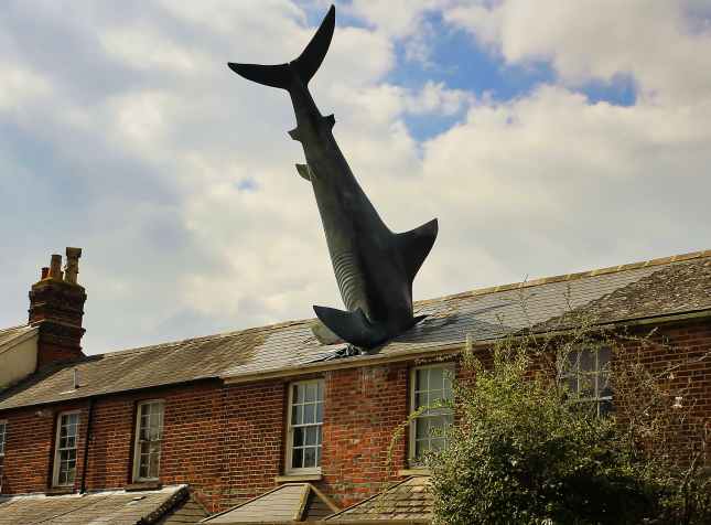 Famuos Shark Scultpure, Headington