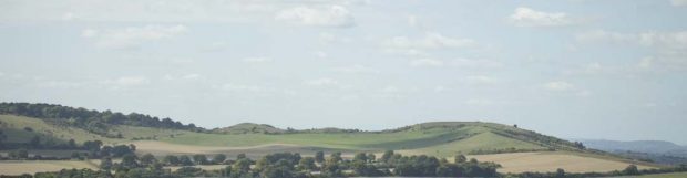 Removals Potters Bar