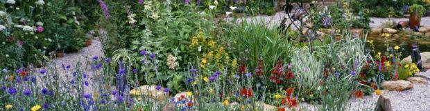 Removals Crowborough