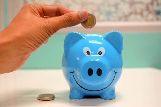 Blue Piggy Bank and Coin