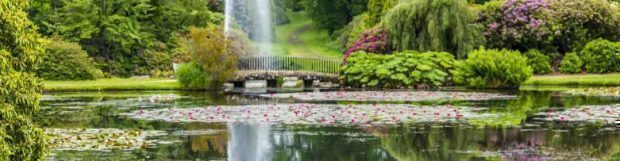 Removals Haywards Heath