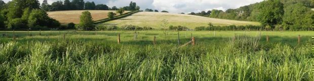 Removals Hertfordshire