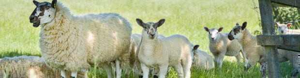 Removals Buckinghamshire