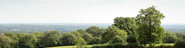 Removals Ashford Surrey