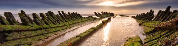 Removals Burnham on Sea