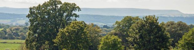 Removals Herefordshire