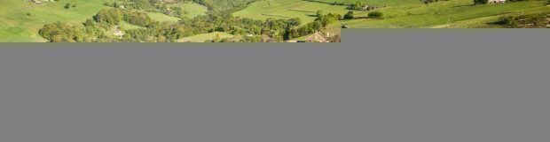 Removals North Yorkshire