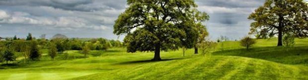 Removals Biggleswade