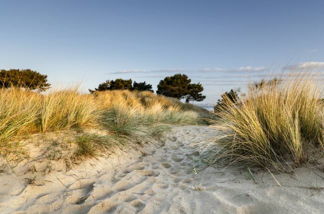 Sandbanks Beach