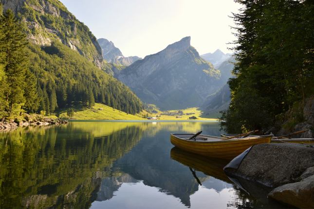 Switzerland Lake and Countryside