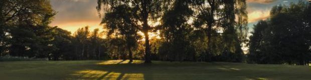 Removals Middlesbrough