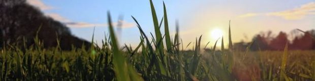 Ware Removals Company