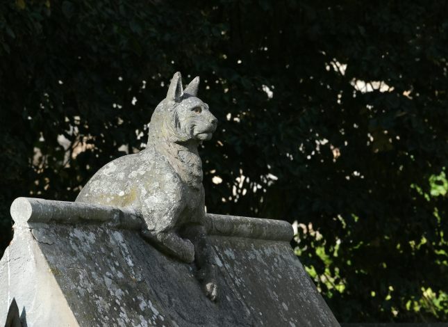 Animal Wall, Cardiff