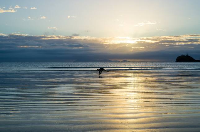 Brisbane Beaches