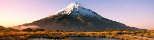 Removals to New Zealand