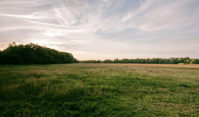 Wimbledon Common