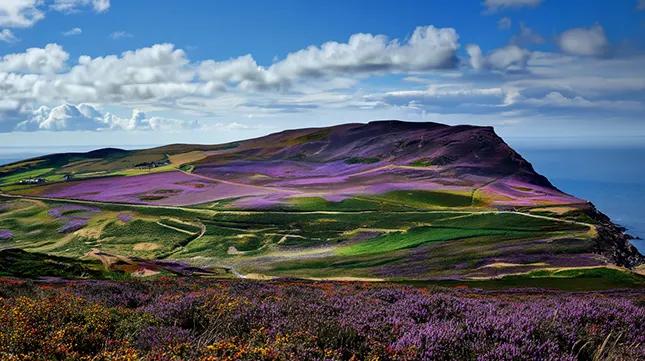 Why Choose the Isle of Man for Your New Home