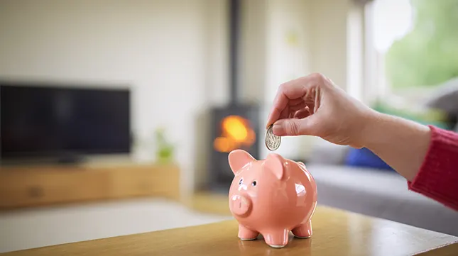 Everyday Costs and Managing Your Budget