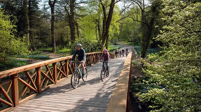 Plenty of Green Space to Unwind