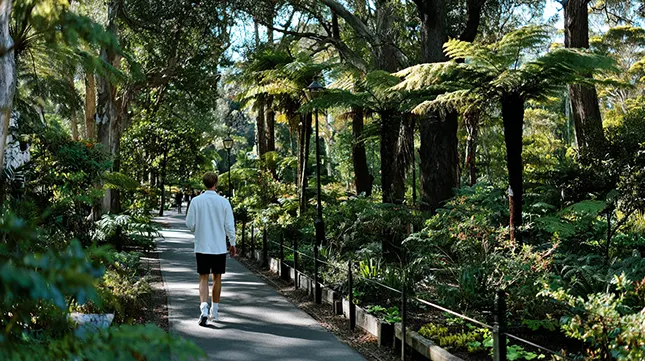 Must-See Attractions in Melbourne