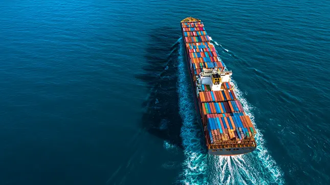 9. Consider International Moving Expertise