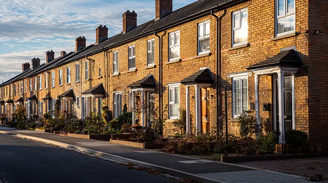 Finding a Home That Fits