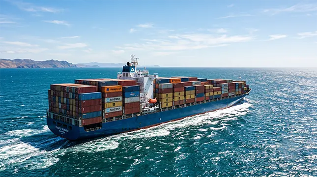 Shipping Your Belongings, Timelines and Container Options