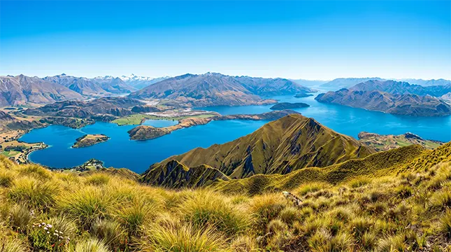 Why Brits Are Still Choosing New Zealand