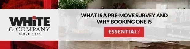 What Is a Pre-Move Survey and Why Booking One is Essential?